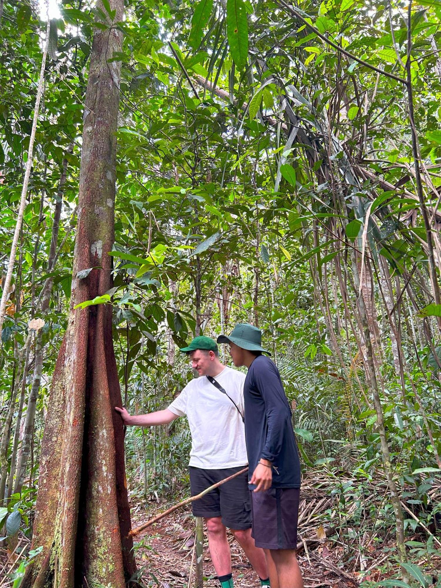 Ponta Poranga Jungle Pensión *