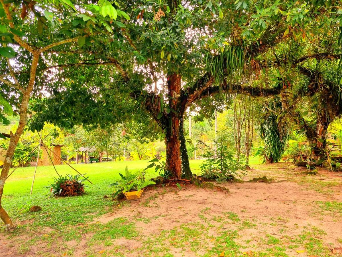 Ponta Poranga Jungle *