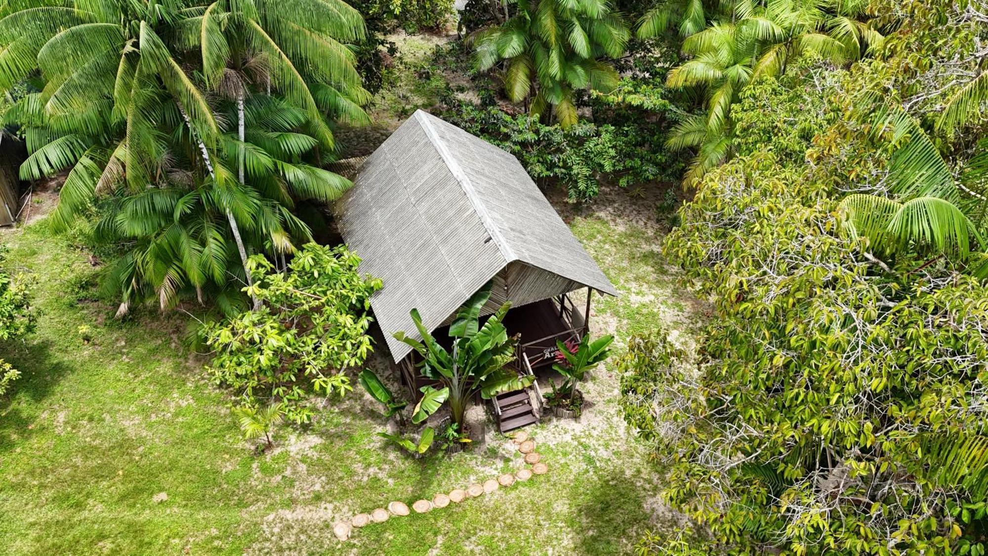 Ponta Poranga Jungle Guest house