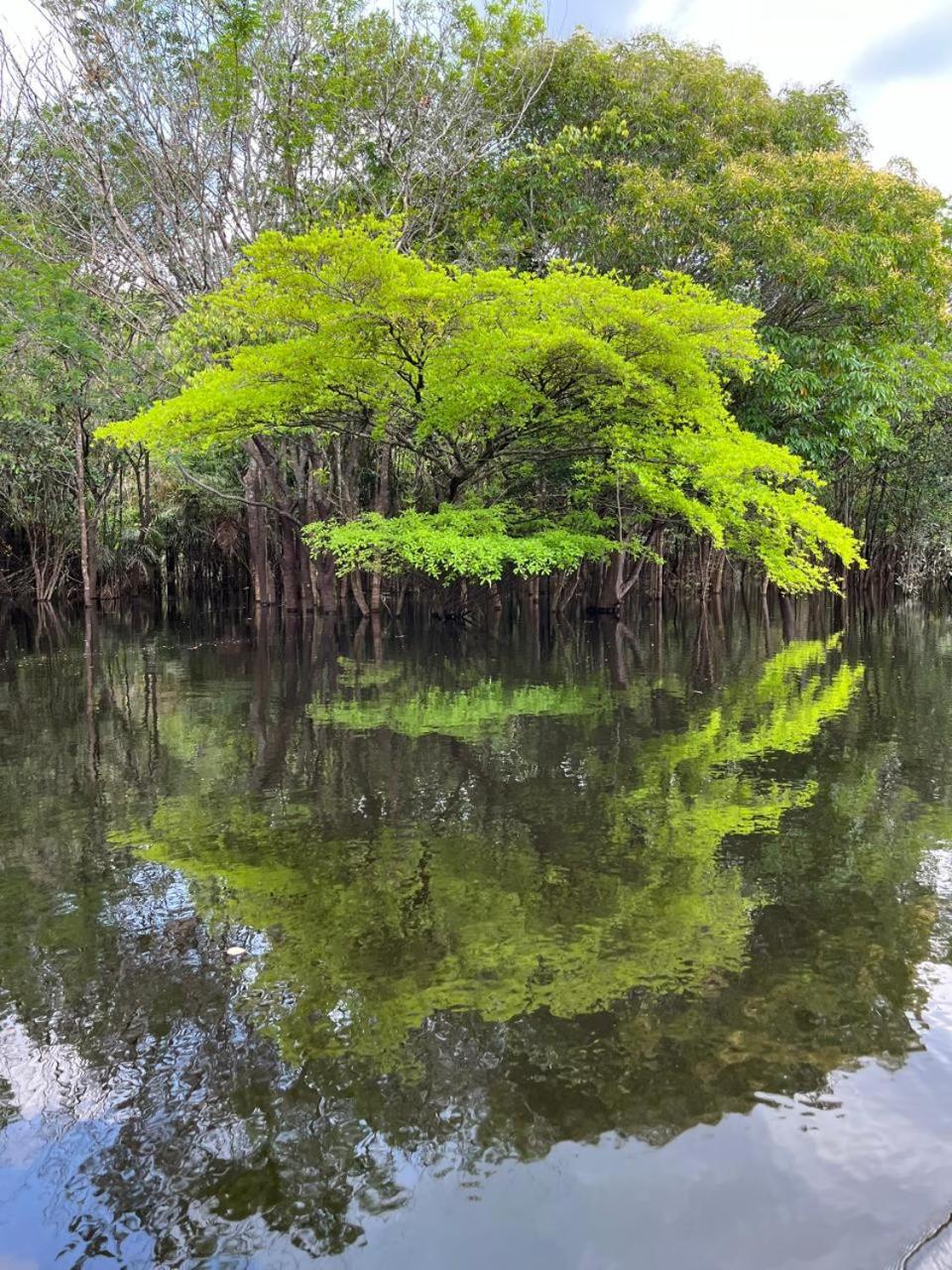 Ponta Poranga Jungle Manaus