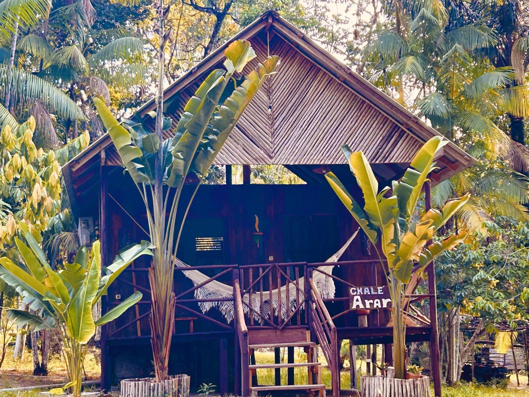 Ponta Poranga Jungle